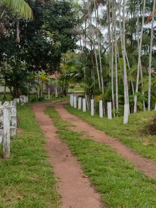 Sítio em Aurora do Pará com 11.000 metros quadrados. - Foto 3