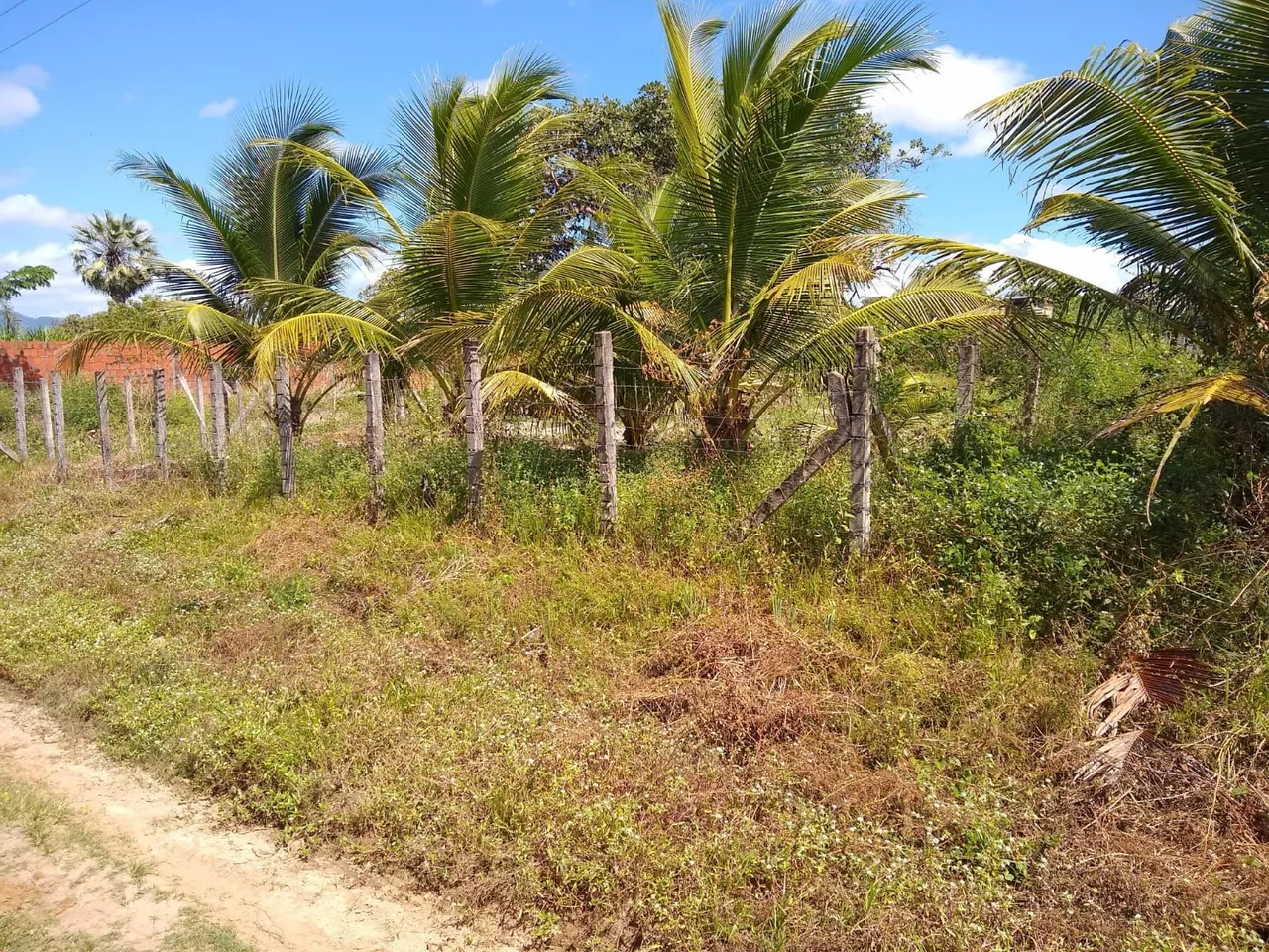 Vendo terreno em Pacatuba