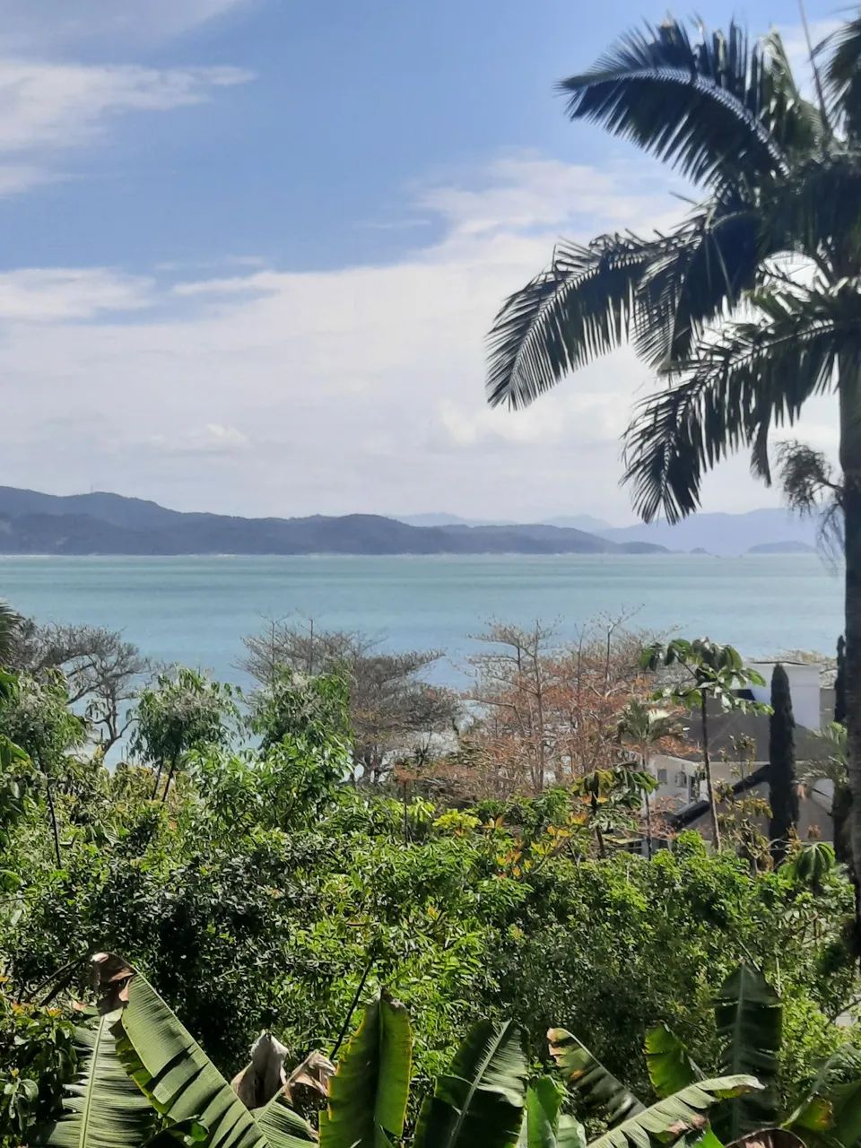 Canajure com vista pro mar