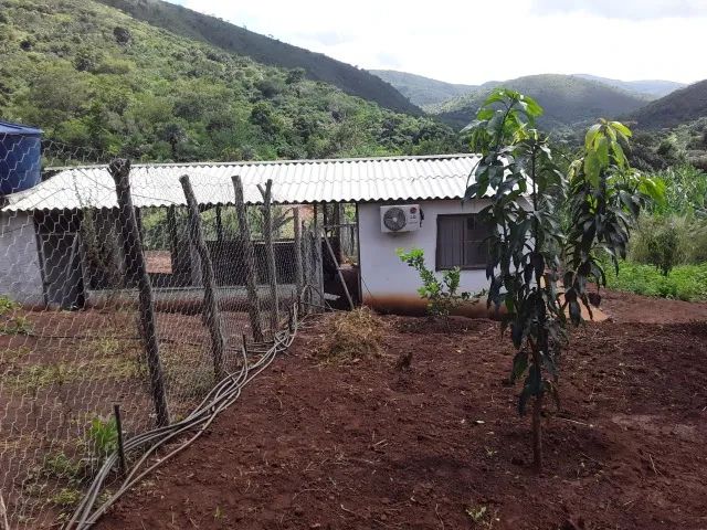 Área de 12, 6 hectares a venda em Senhor do Bomfim -Ba. - Foto 5