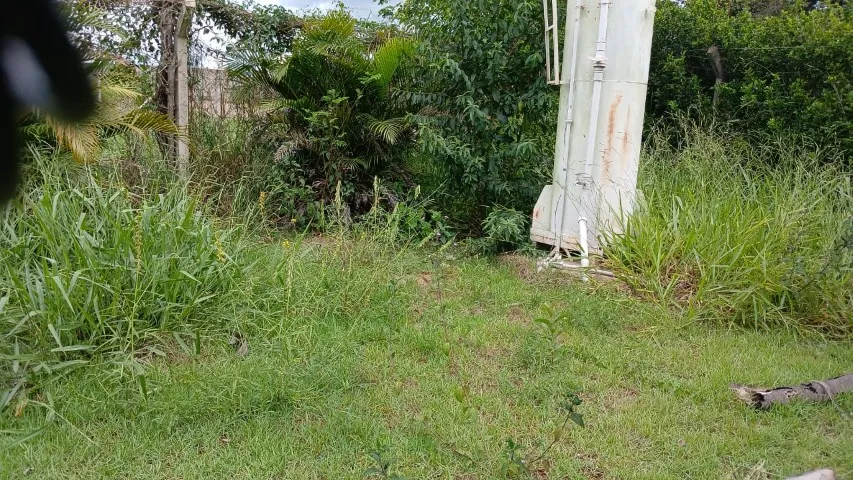 Terreno no condomínio Vitasay 2.000m2