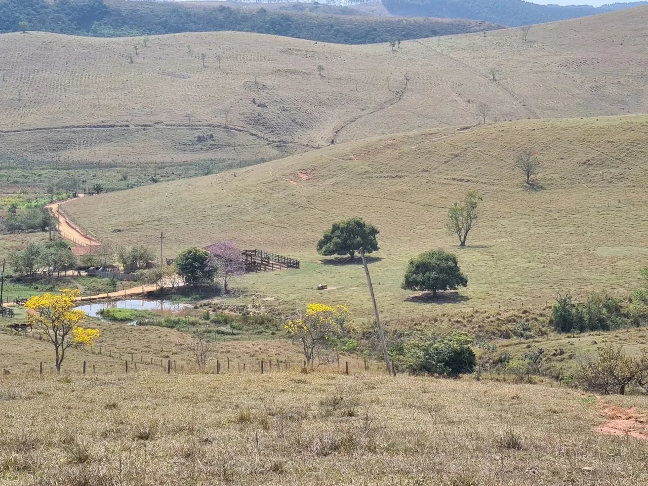 Imóvel para venda com 2154000 metros quadrados em Centro - Canas - SP