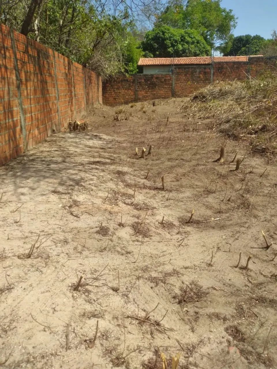 Foto - Teresina - Brasilar