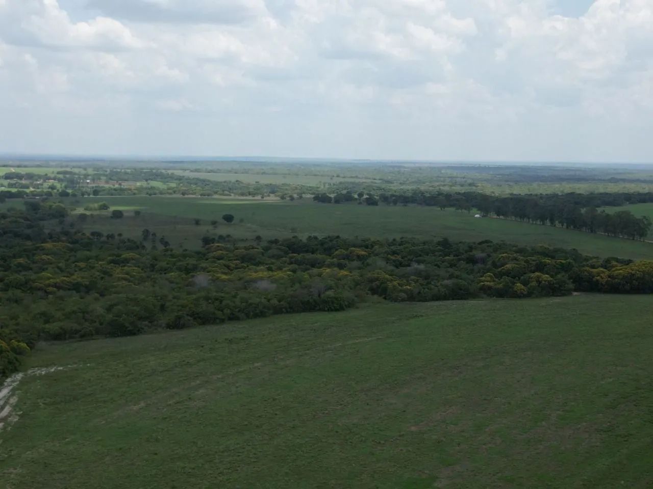 Fazenda com DÍVIDA, 1.700 alqueires a 100km de Araguaína 140 milhões. - Foto 2