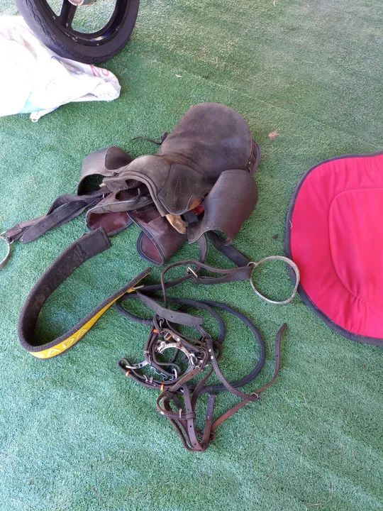 Conjunto de Sela e Freio - Foto 2