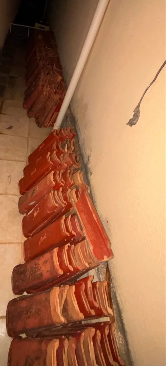 Telha plan (doação)
