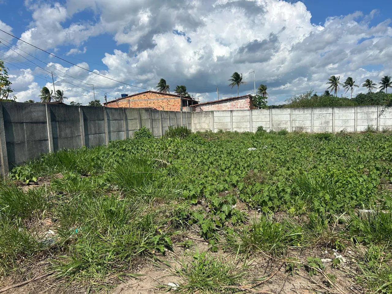 TERRENO NO BAIRRO DA VOLTA - Foto 3