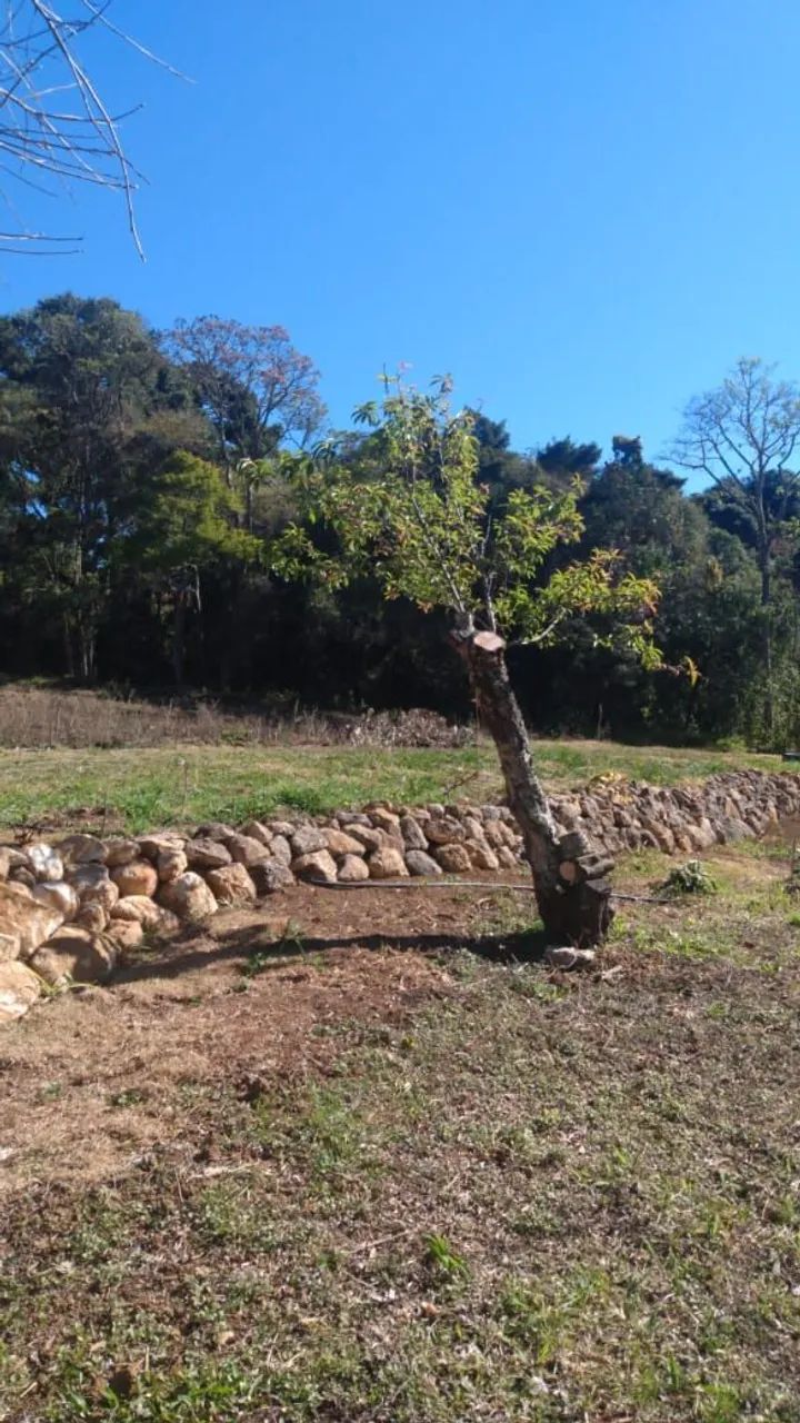 Chácara 