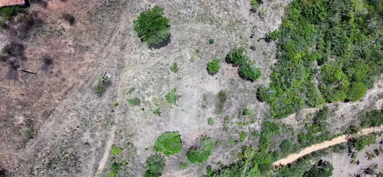Excelente Oportunidade para Investidores: Terreno de Grande Porte no Sítio Cabrita, São Cr - Foto 4