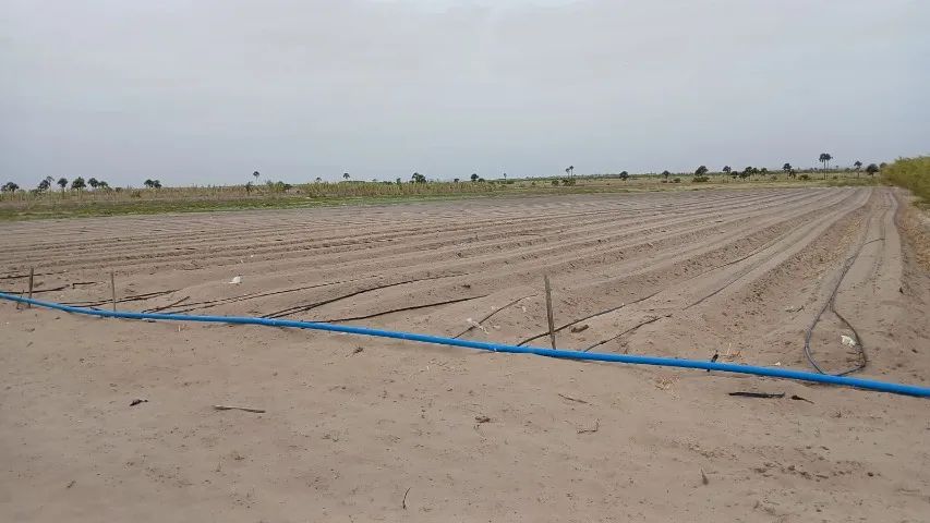 Vendo fazenda de 114  Hectares - Foto 3