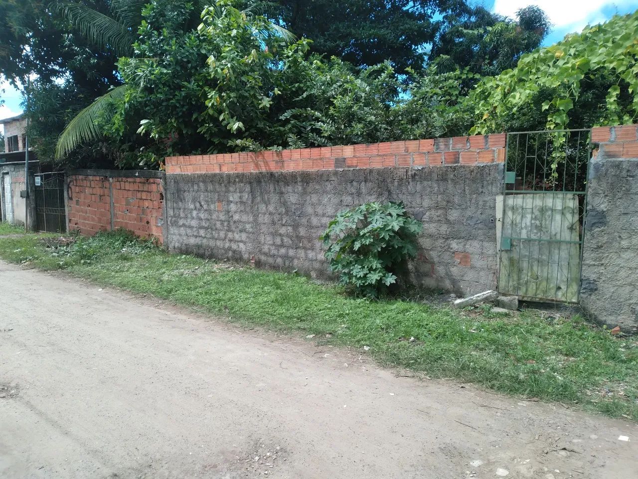 Terreno - Foto 4