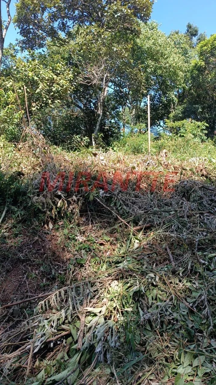 Terreno em São Vicente - Foto 2