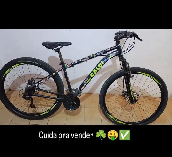 Bicicleta