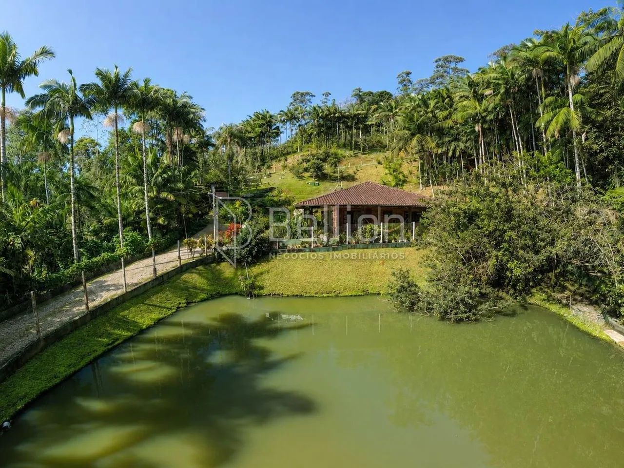 Sítio à Venda em Timbó com 30.000 m², Lagoas e Nascente
