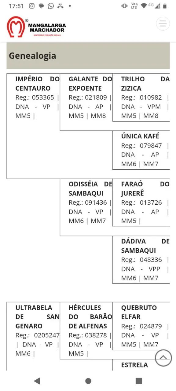 Vendo filho do império do centauro  - Foto 3