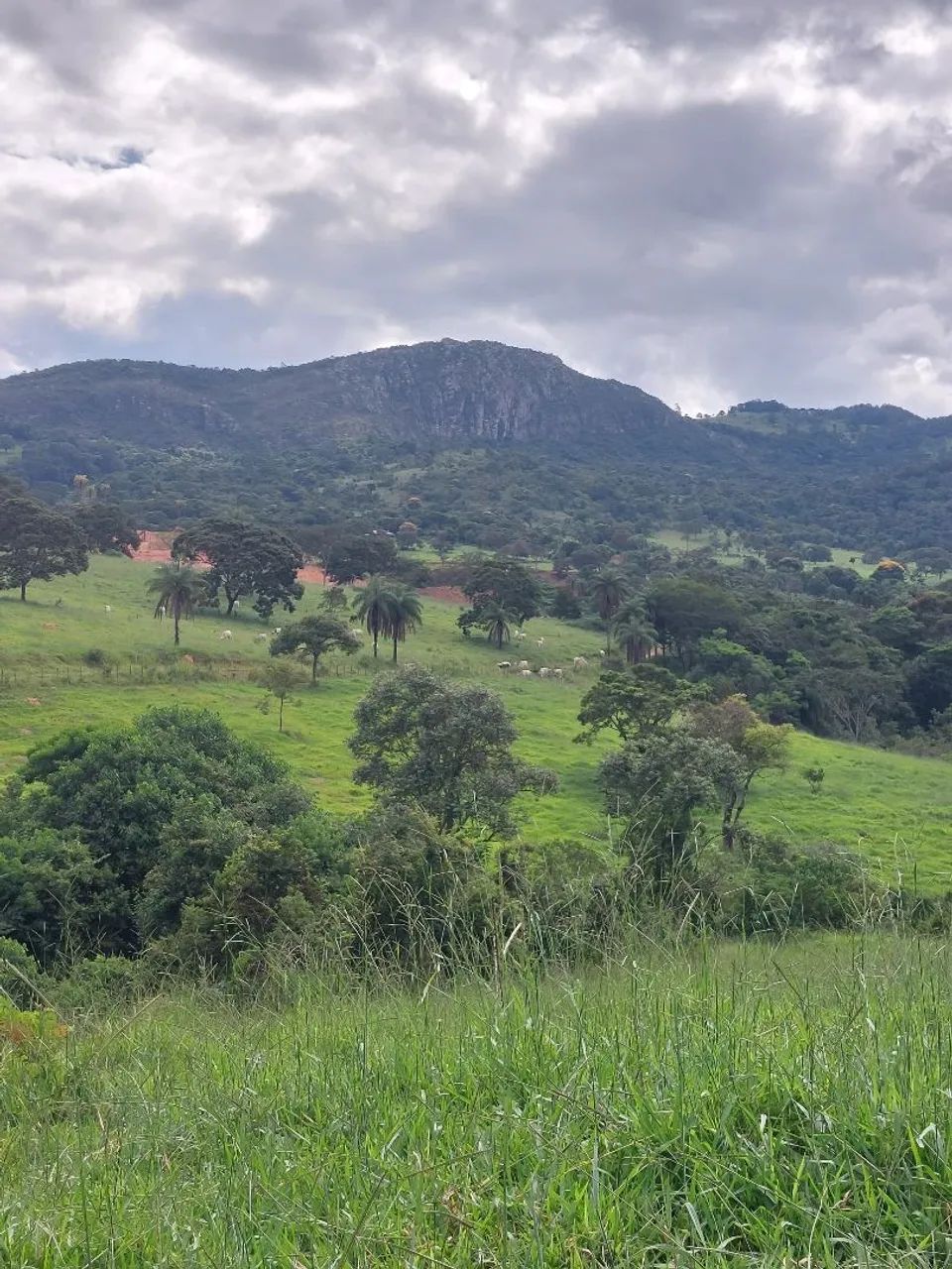 Foto - Belo Horizonte - Santo Antônio