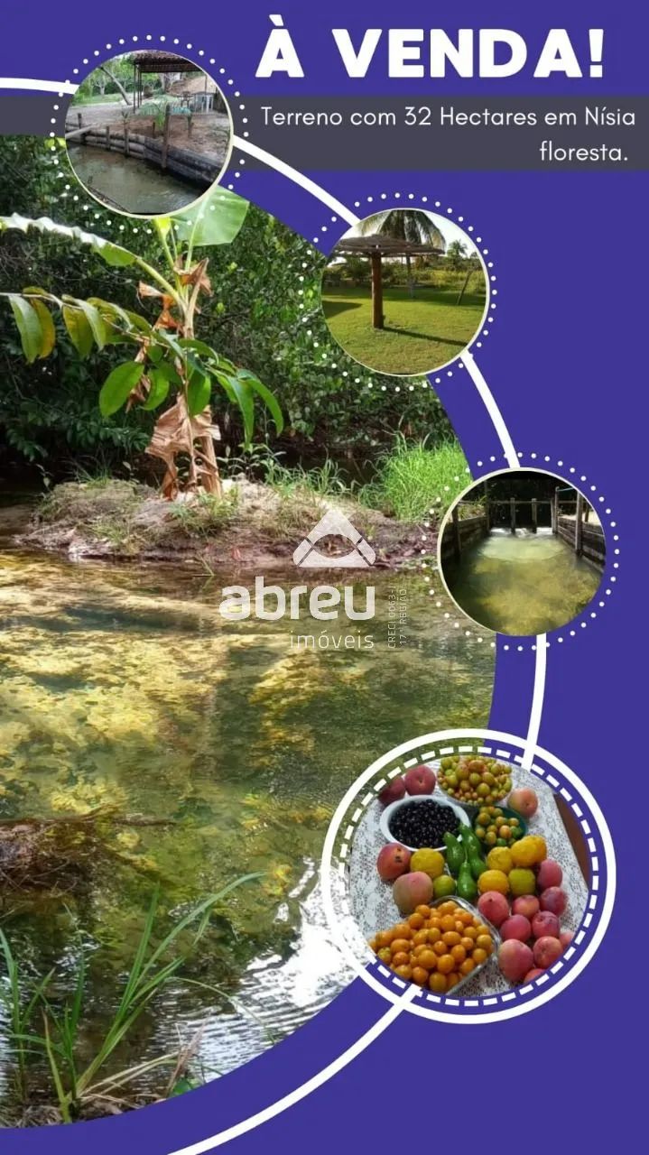 Terrenos Área em Nísia Floresta - Foto 2