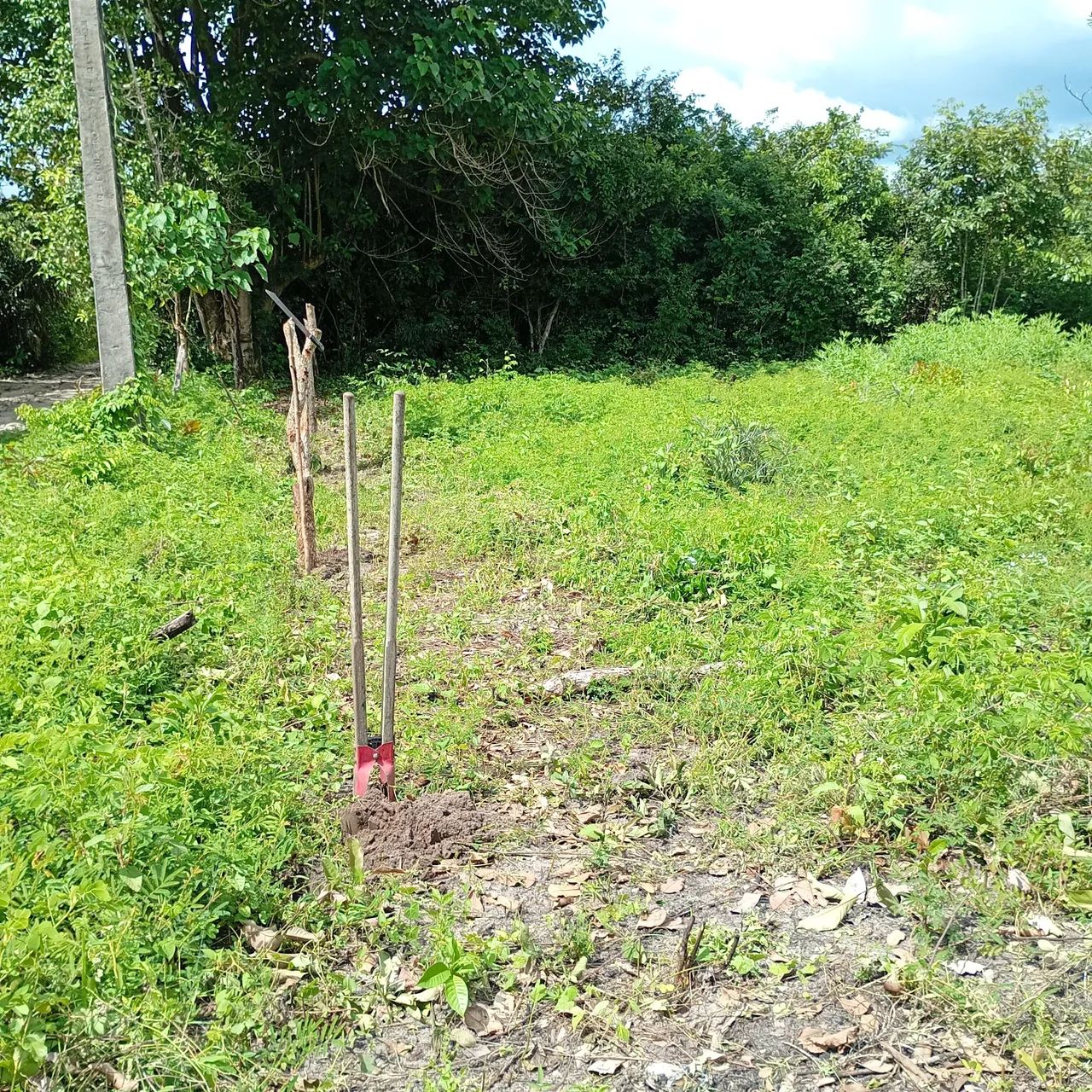 Terreno  - Foto 5