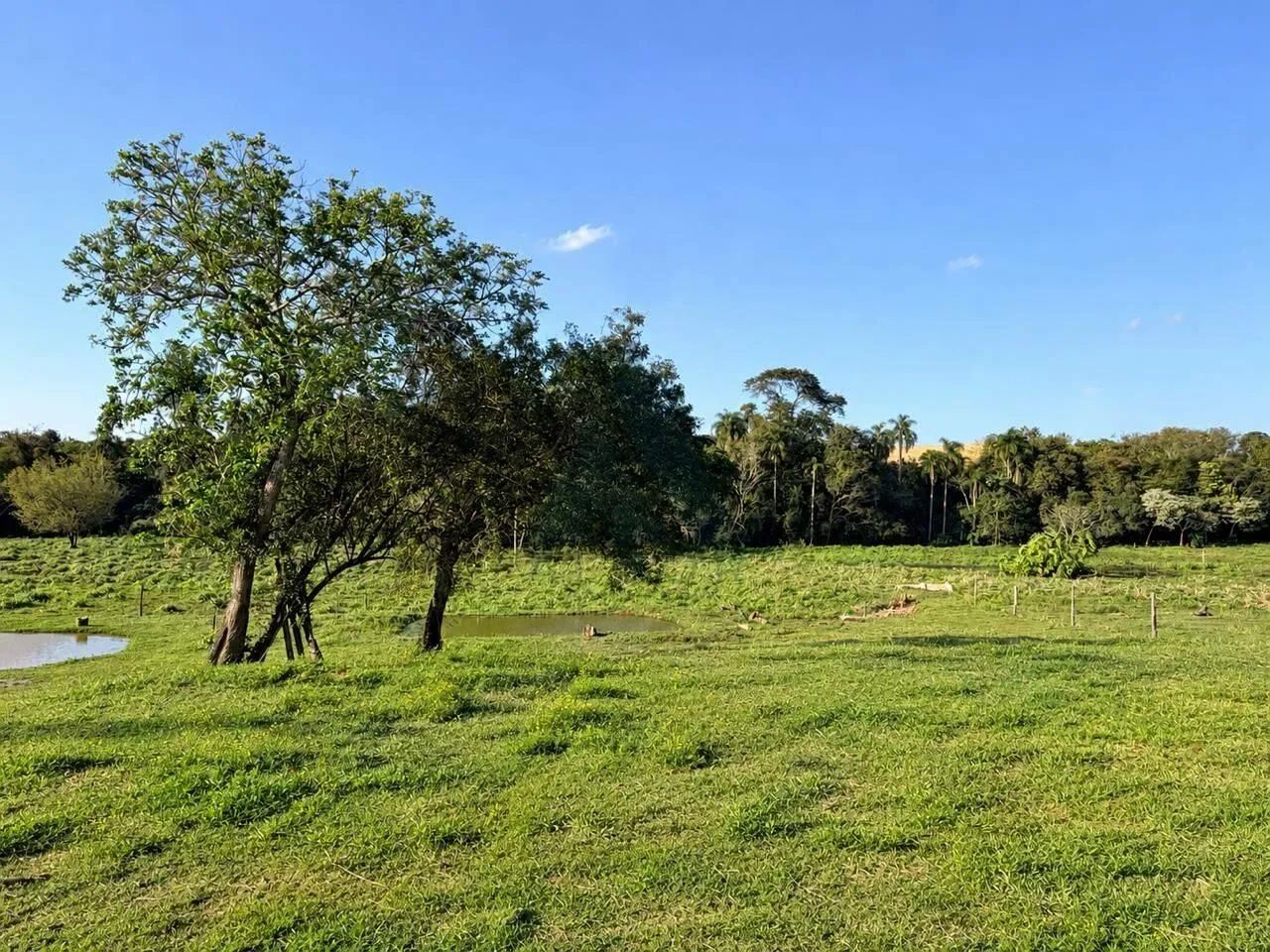 Terreno à venda - São Miguel Arcanjo/SP - Foto 4