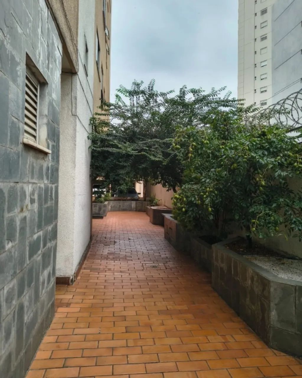 Vende-se Apartamento 2 Quartos - Setor Oeste - Contato: * - Foto 2