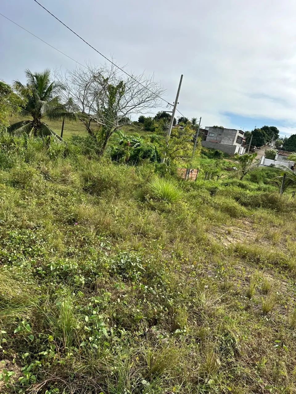 TERRENO 10x25