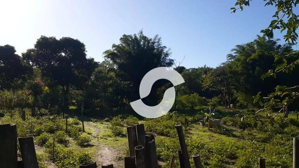 Terreno de 4753m² em Cabuçu - Foto 5