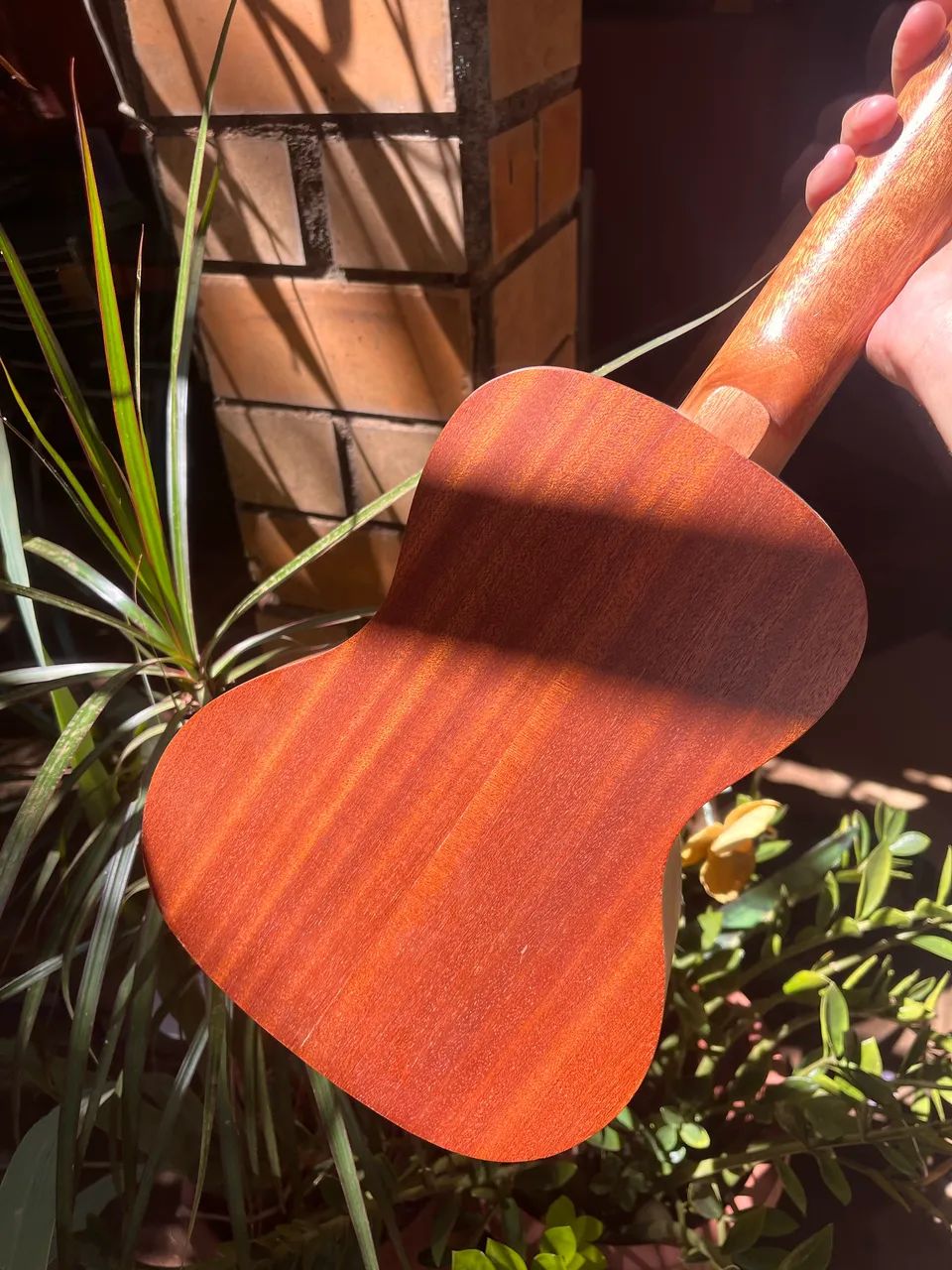 Ukulele Tagima 23-K  - Foto 2
