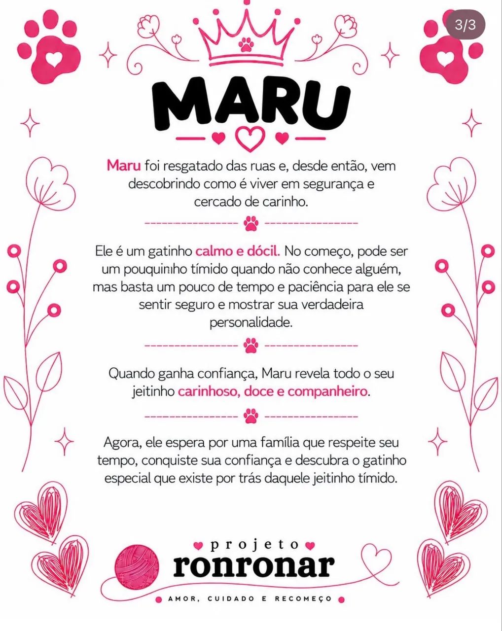 Gato para adoção  - Foto 3