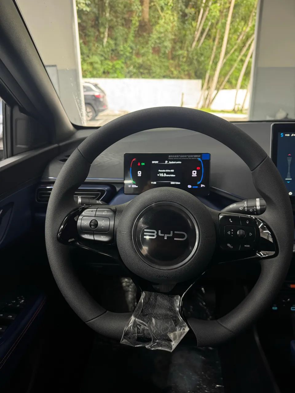 BYD Dolphin Mini GL 2027 - Foto 4