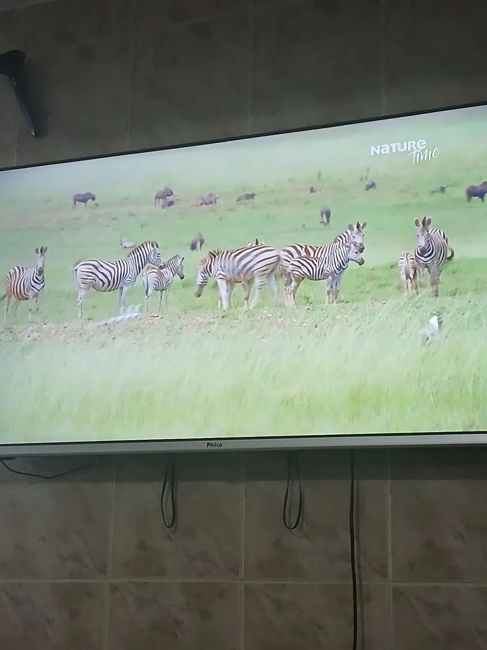 Venda 