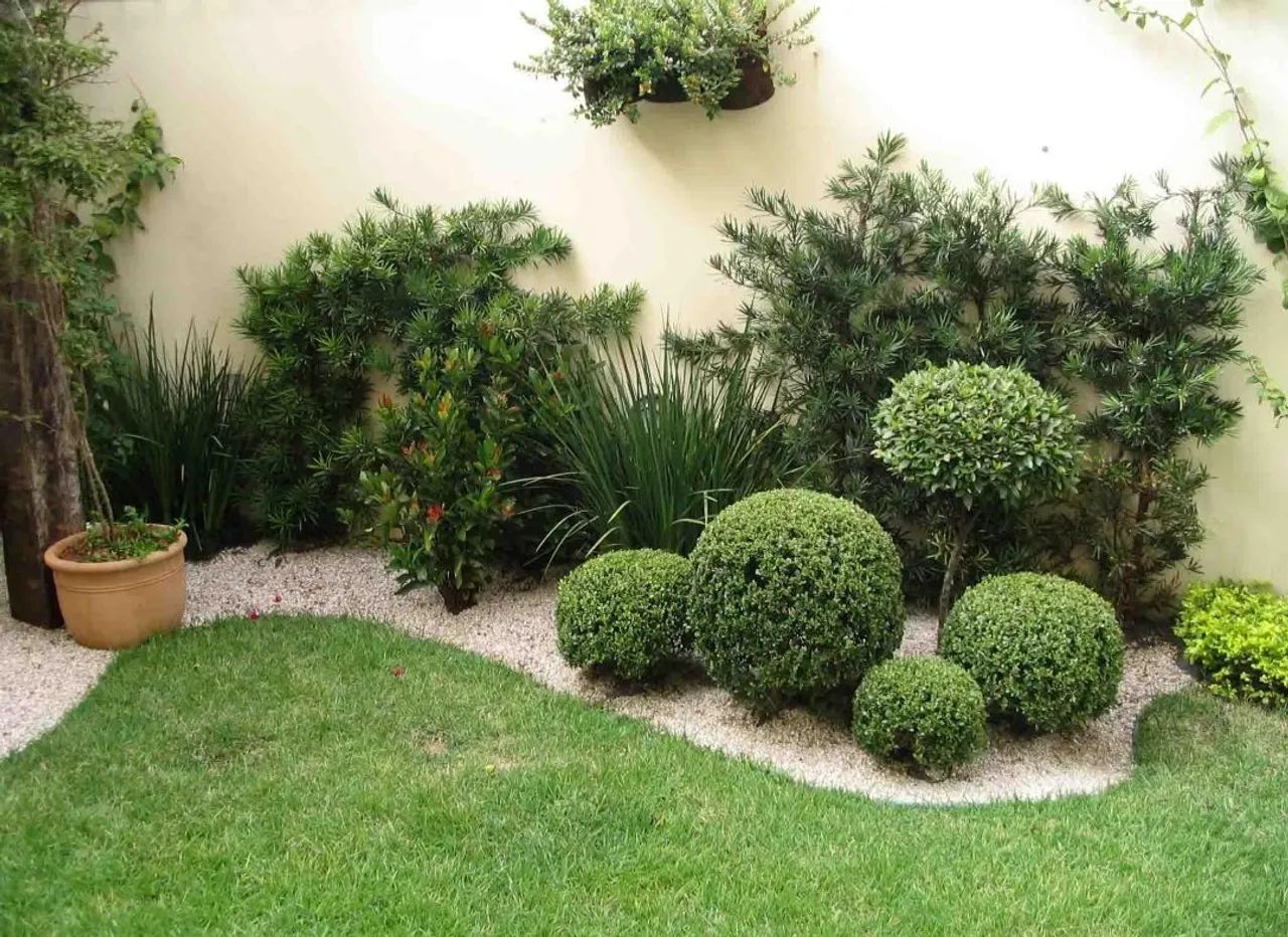 Jardineiro em Florianópolis  - Foto 2