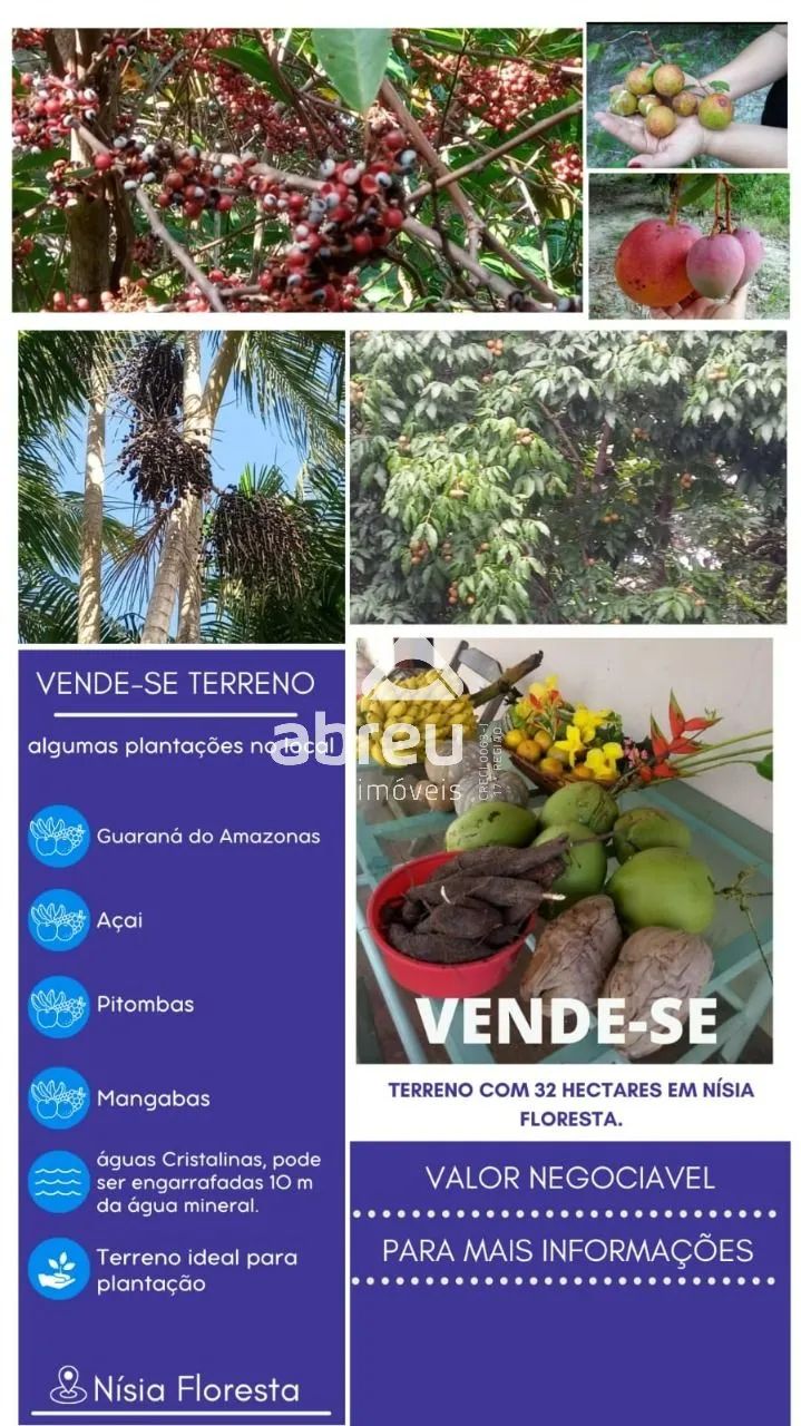 Terrenos Área em Nísia Floresta - Foto 3