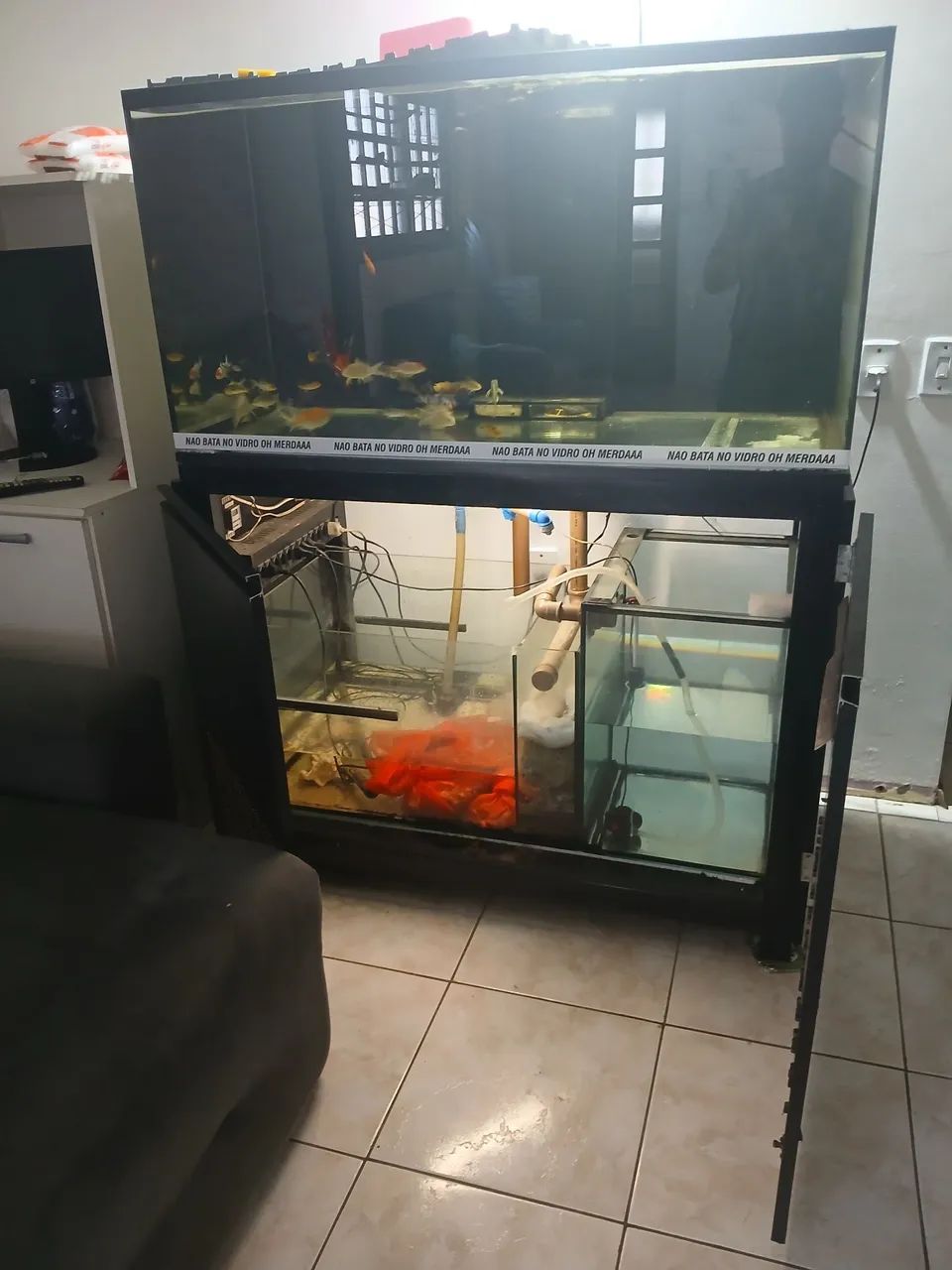 Aquario grande 120×60×60