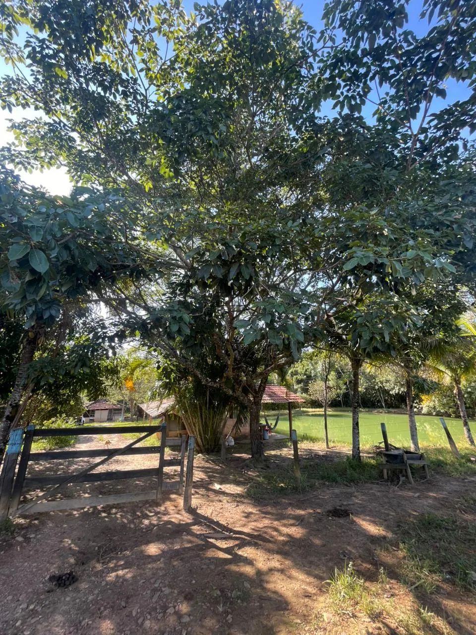 CHÁCARA EM BELA VISTA - Foto 5