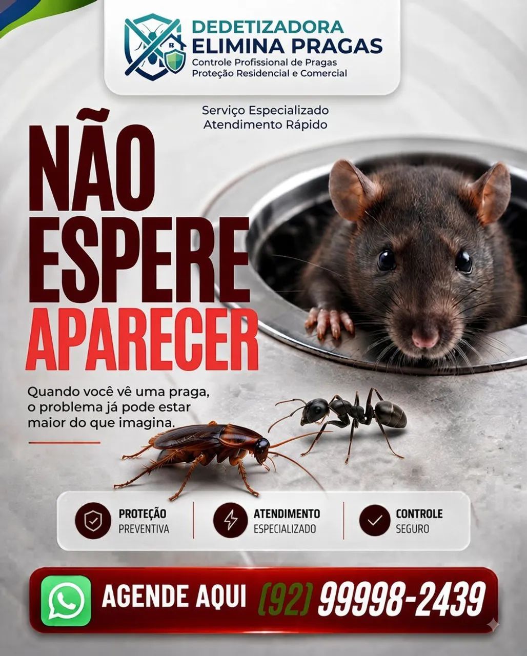 Dedetização  - Foto 2