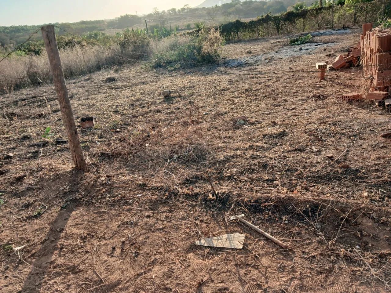 Lote - Foto 2