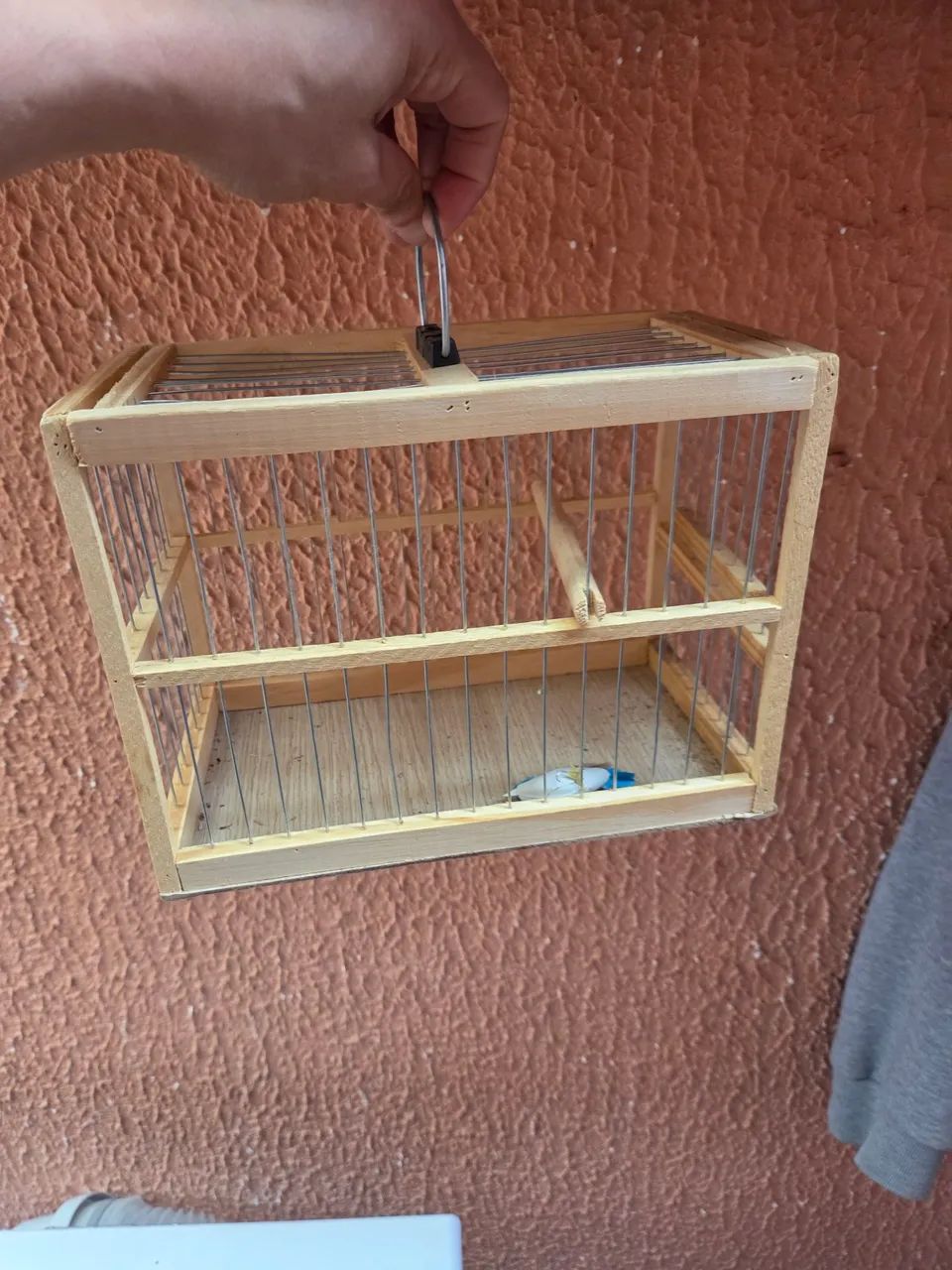 Gaiola 