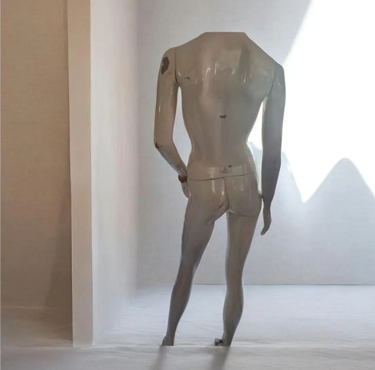 Barbada imperdível. Manequim feminino. - Foto 2