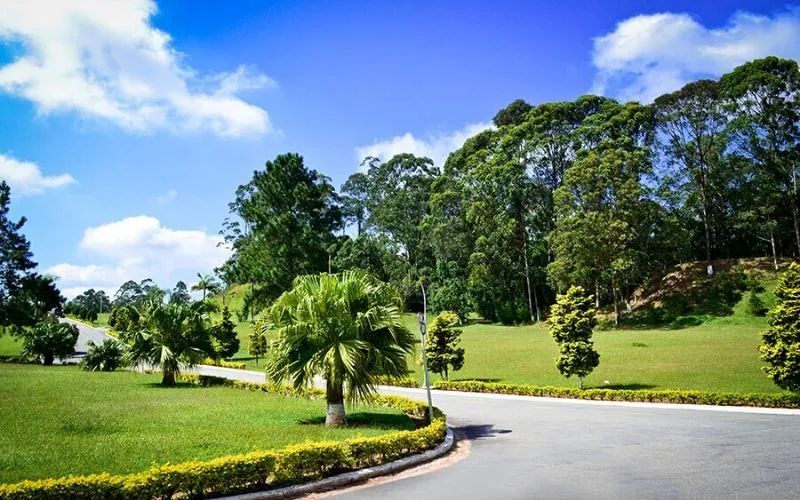 Jazigo parque dos girassóis  - Foto 4