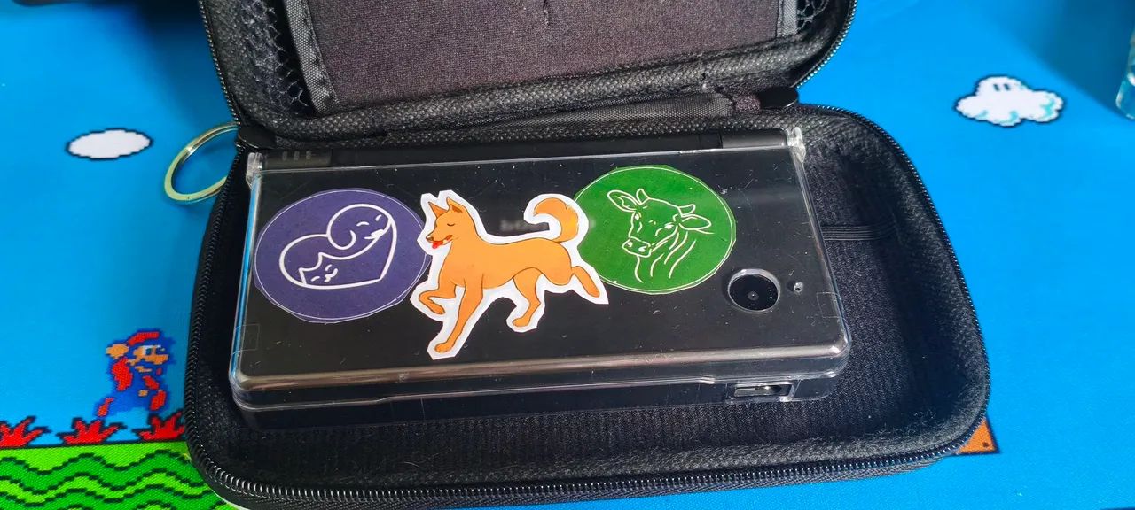 Nintendo dsi