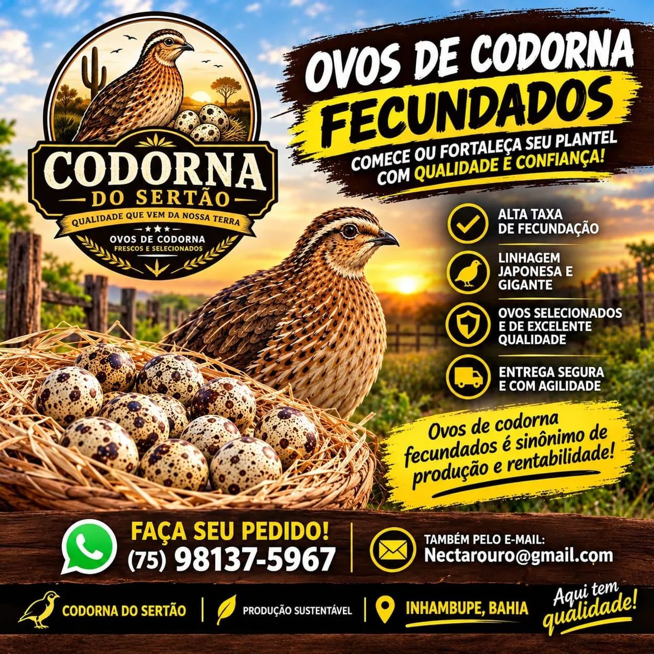 Codornas