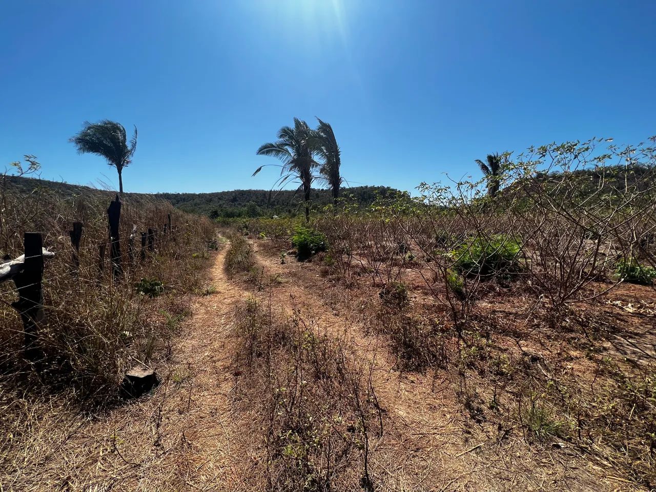 Foto - Teresina - Planalto