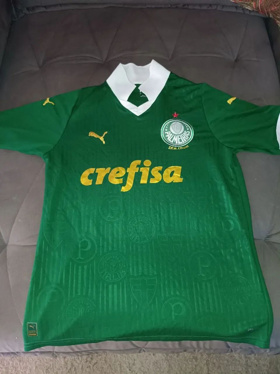 Camisa do palmeiras 