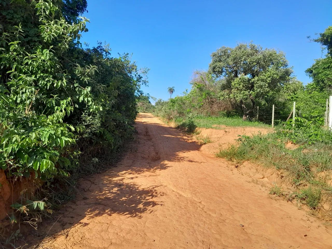 Lotes no bairro paraíso em mateus leme  - Foto 4