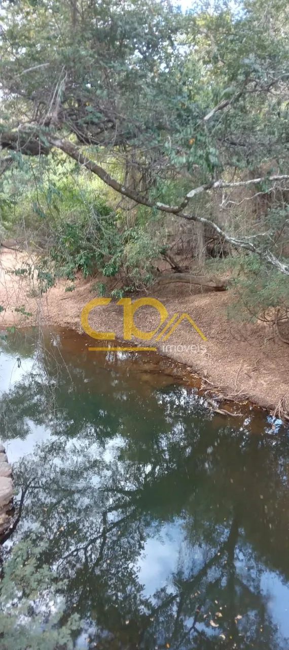 Terreno oportunidade, com pomar, arvores nativas.