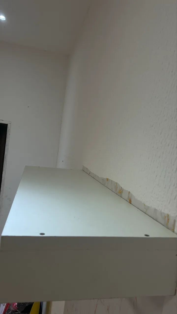 arara bem conservada - Foto 3