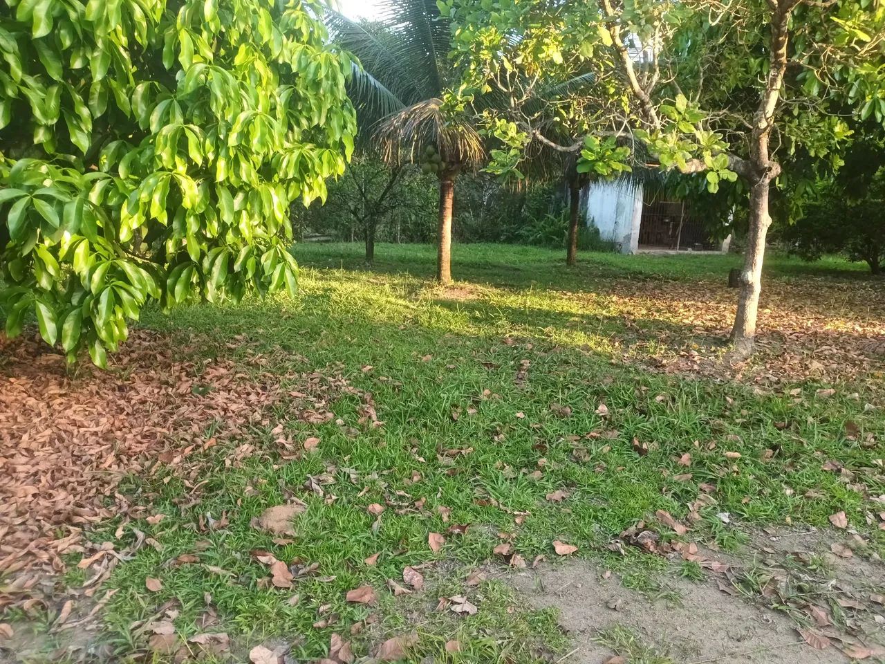 Granja excelente km  07 de Aldeia  - Foto 2
