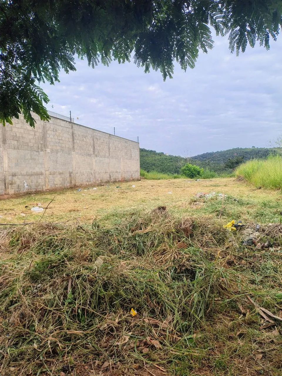 Foto - Juiz de Fora - Teixeiras