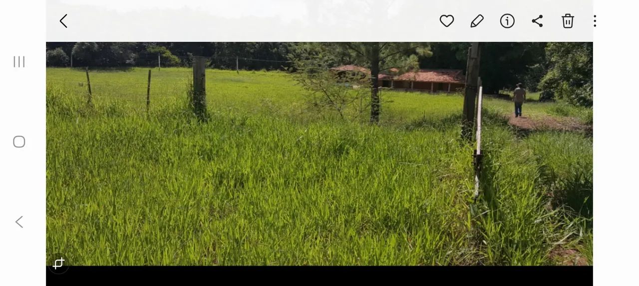 Vendo uma chácara 20.150m2 - Foto 2