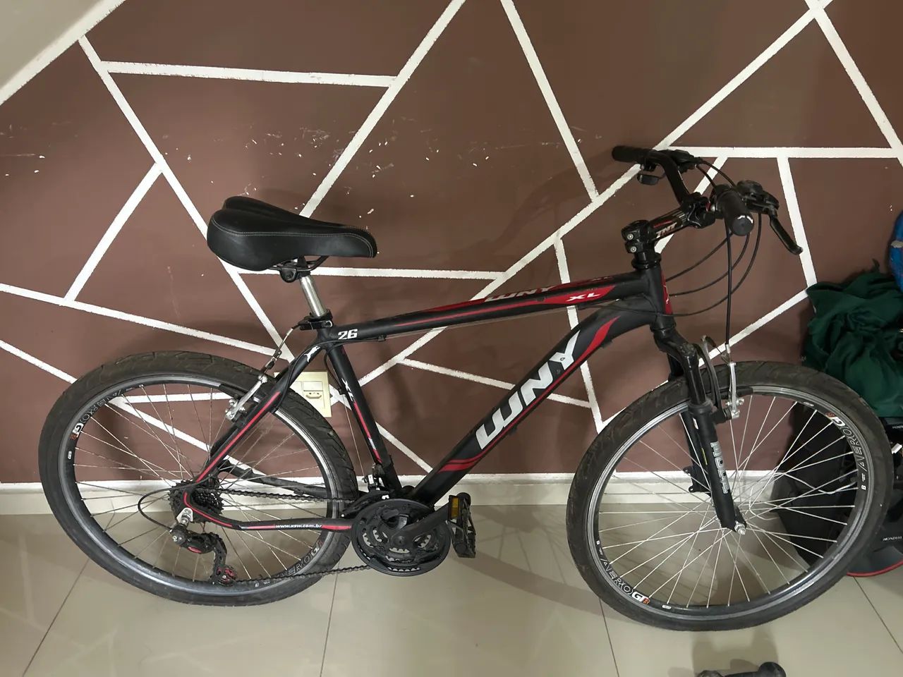 Bicicleta WNY, aro 26